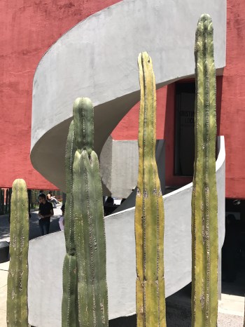 escalera, cactus, Juan O'Gormann